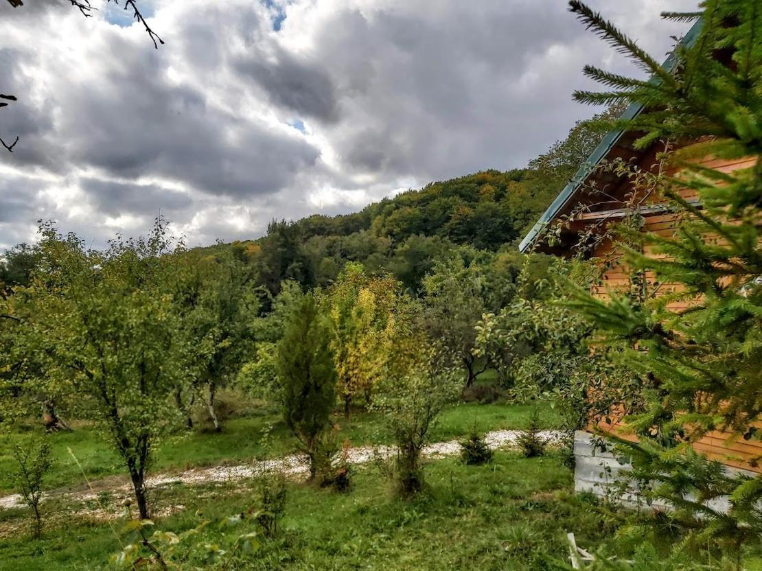 Pensiunea Agroturistica Piscul Soarelui Cîmpulung Exterior foto