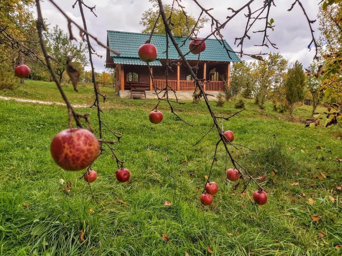 Pensiunea Agroturistica Piscul Soarelui Cîmpulung Exterior foto