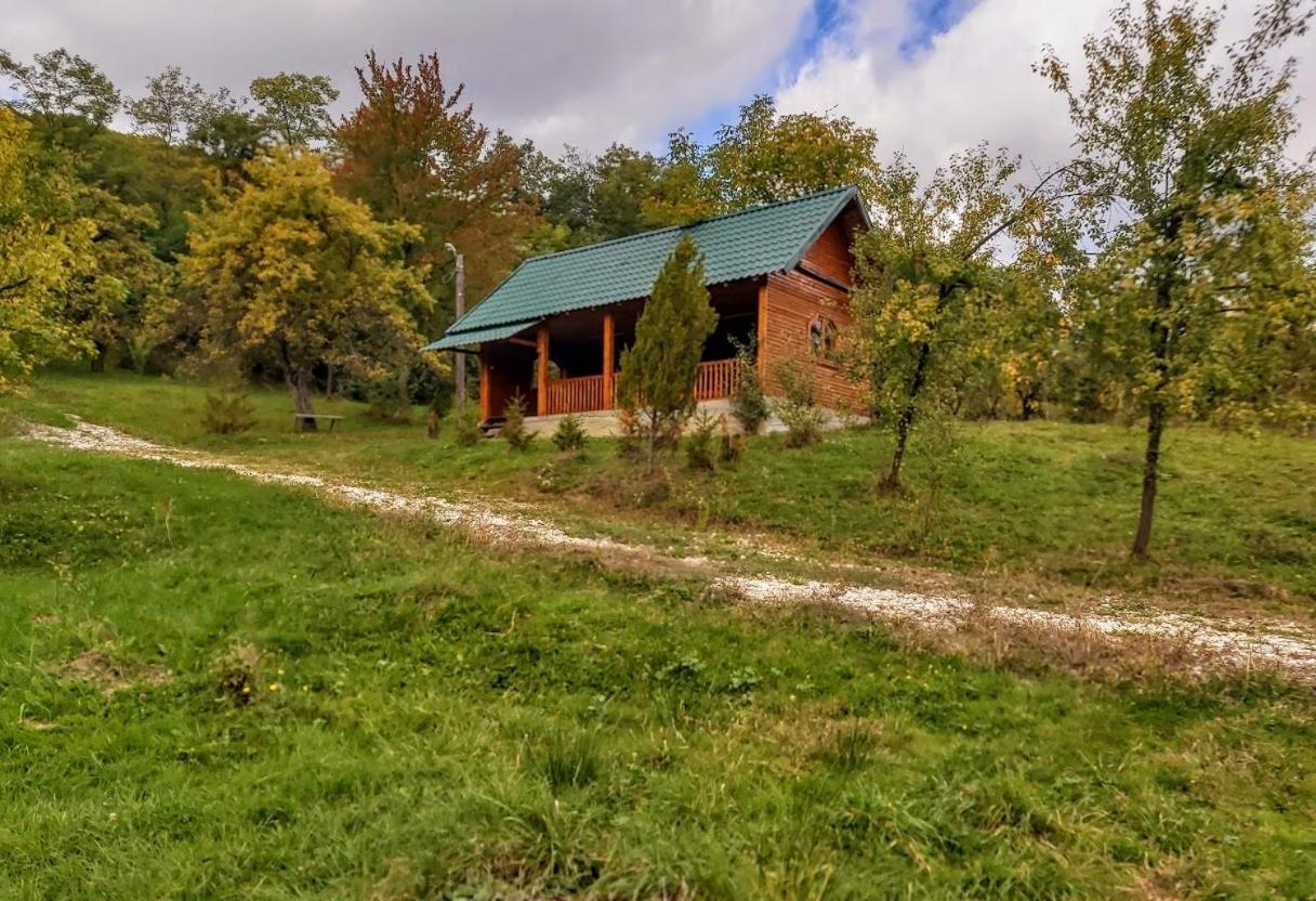 Pensiunea Agroturistica Piscul Soarelui Cîmpulung Exterior foto