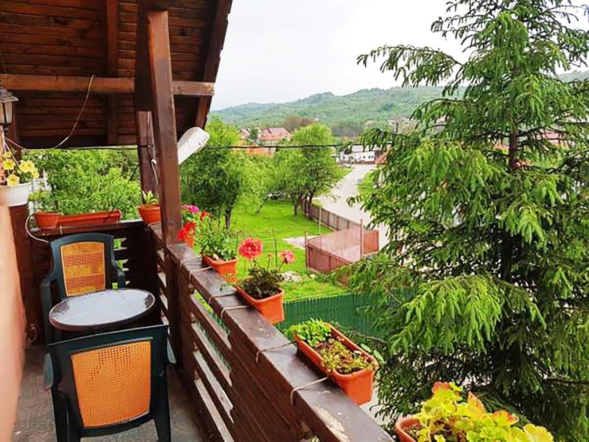 Pensiunea Agroturistica Piscul Soarelui Cîmpulung Exterior foto